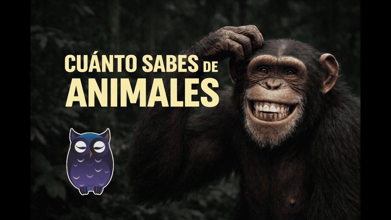🐘 50 preguntas sobre ANIMALES 🦜🦒 🐢 TEST / TRIVIA / QUIZ  Saber es Poder 🦉