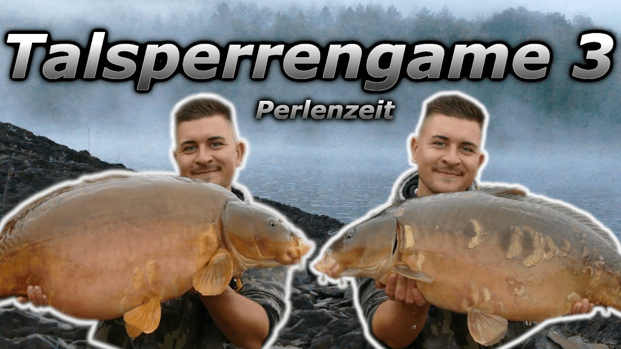 Talsperrengame 3 🌊 | Es ist Perlenzeit😁 | Karpfenangeln an deutschen Talsperren | Stausee