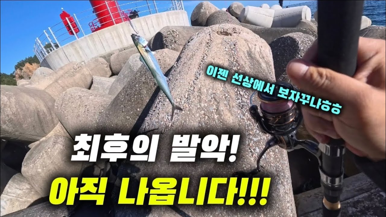 이것만 찾으면 잡을수있습니다! 운빨 워킹 회유성...이틀중 4번 얻어걸린 기회...ㅎㅎ + 볼락낚시!