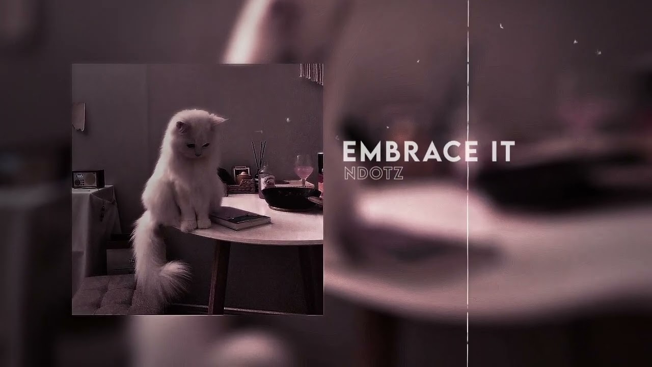 Embrace it [NDOTZ] slowed + reverbed audio edit