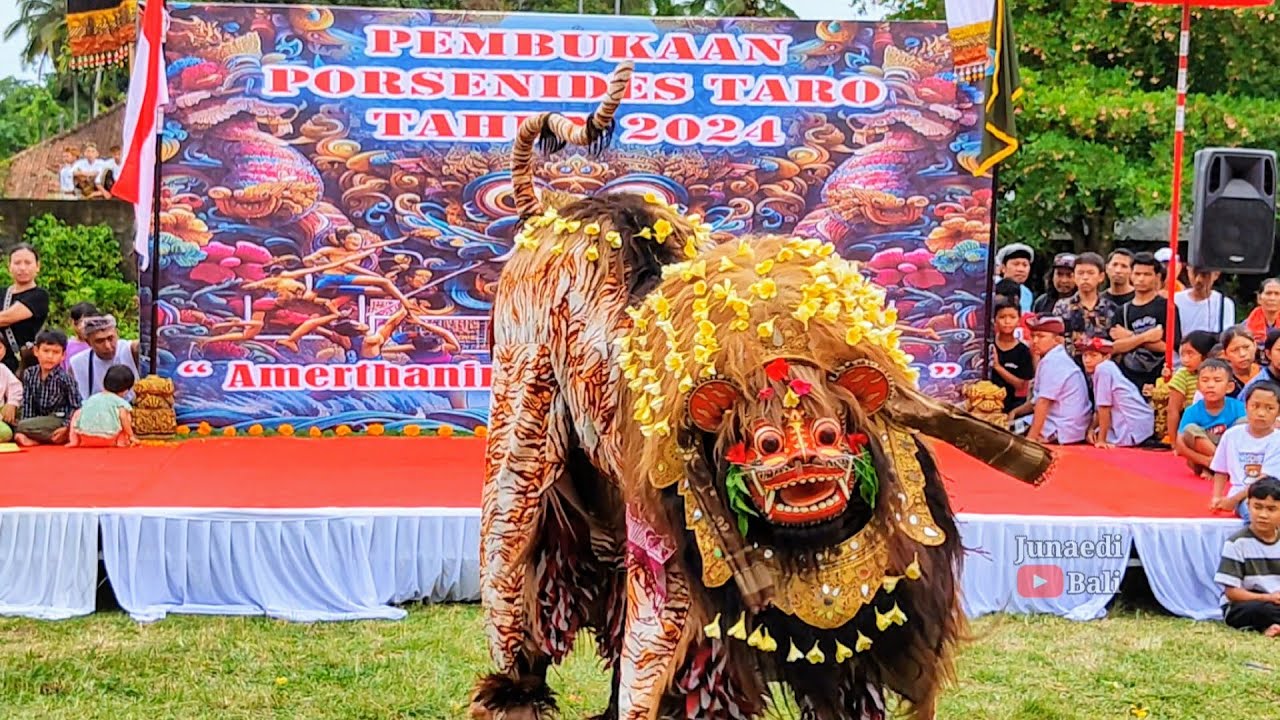Bapang Barong Br.Patas Festival Ngelawang Barong Porsenides Desa Taro 2024