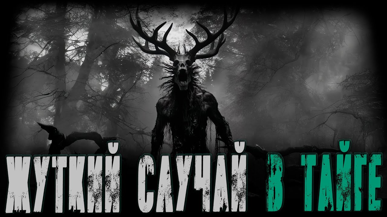 НЕ НАДО БЫЛО В ТАЙГУ ХОДИТЬ! Страшные истории на ночью. Страшилки.