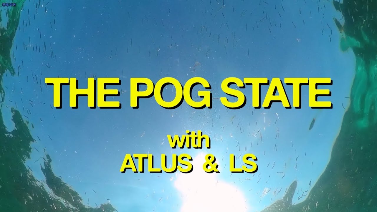 THE POG STATE | Funny Moments Compilation