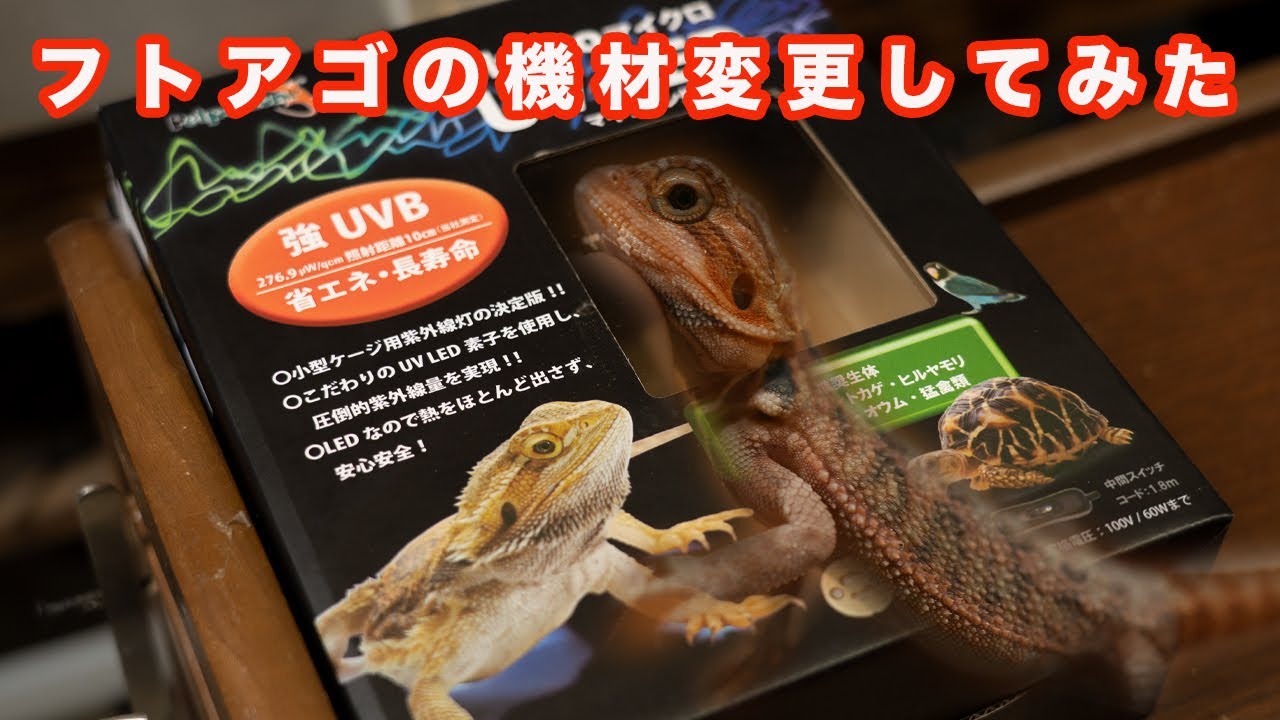 フトアゴ機材変更！！マイクロ UV LEDを導入してみた