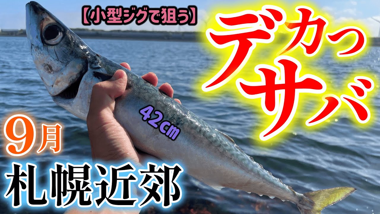 【石狩湾新港】小型ジグで手軽に青物