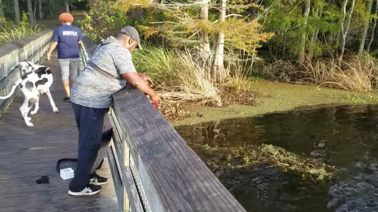 Huge Bass Broke me off at Chicot State Park Our Reaction- PRICELESS!