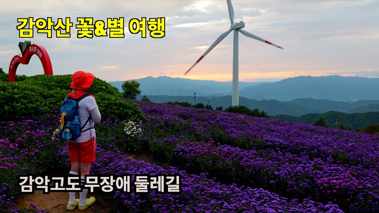 감악산 꽃&별 축제 해발 900m 감악고도 무장애길 너무 좋습니다