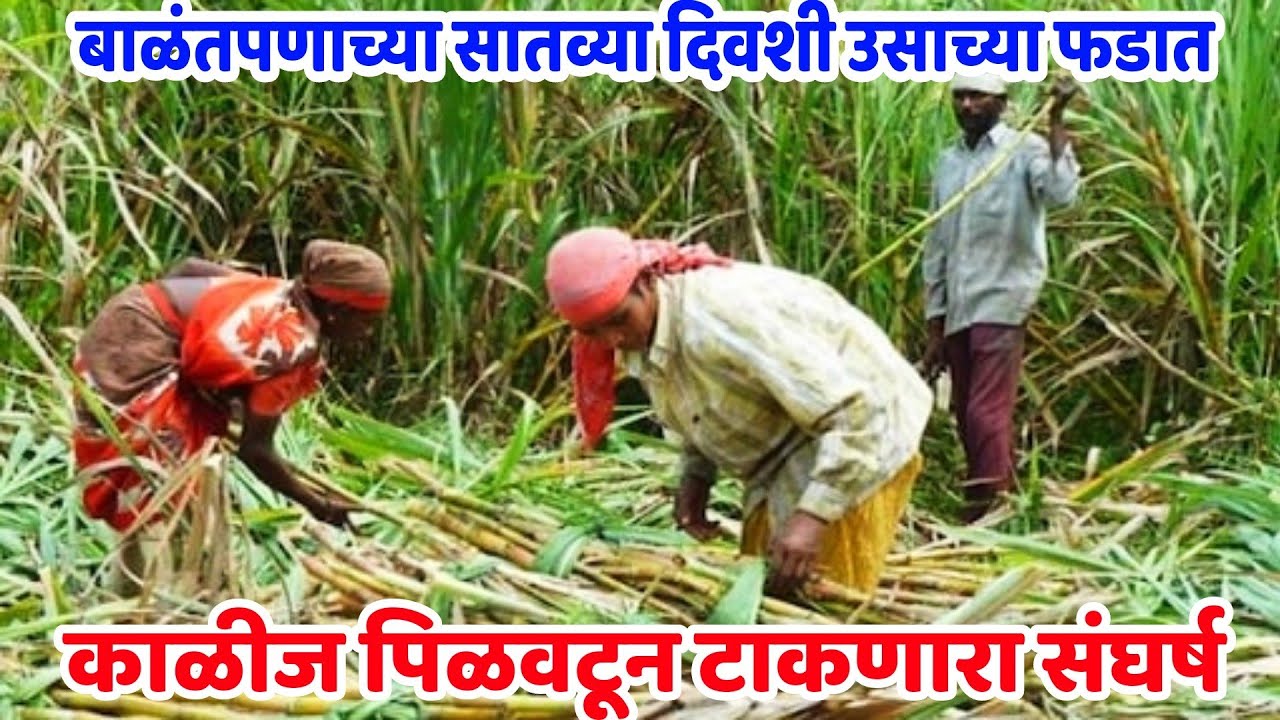 बीड जिल्हा ऊसतोड कामगार | Sugarcane Workers |  ऊसतोड कामगार | Ustod Kamgar | साखर कारखाना|शोध वार्ता
