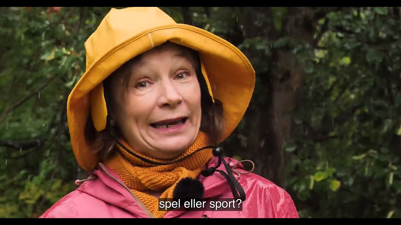 S&aring; h&auml;r fungerar systemt&auml;nkande!