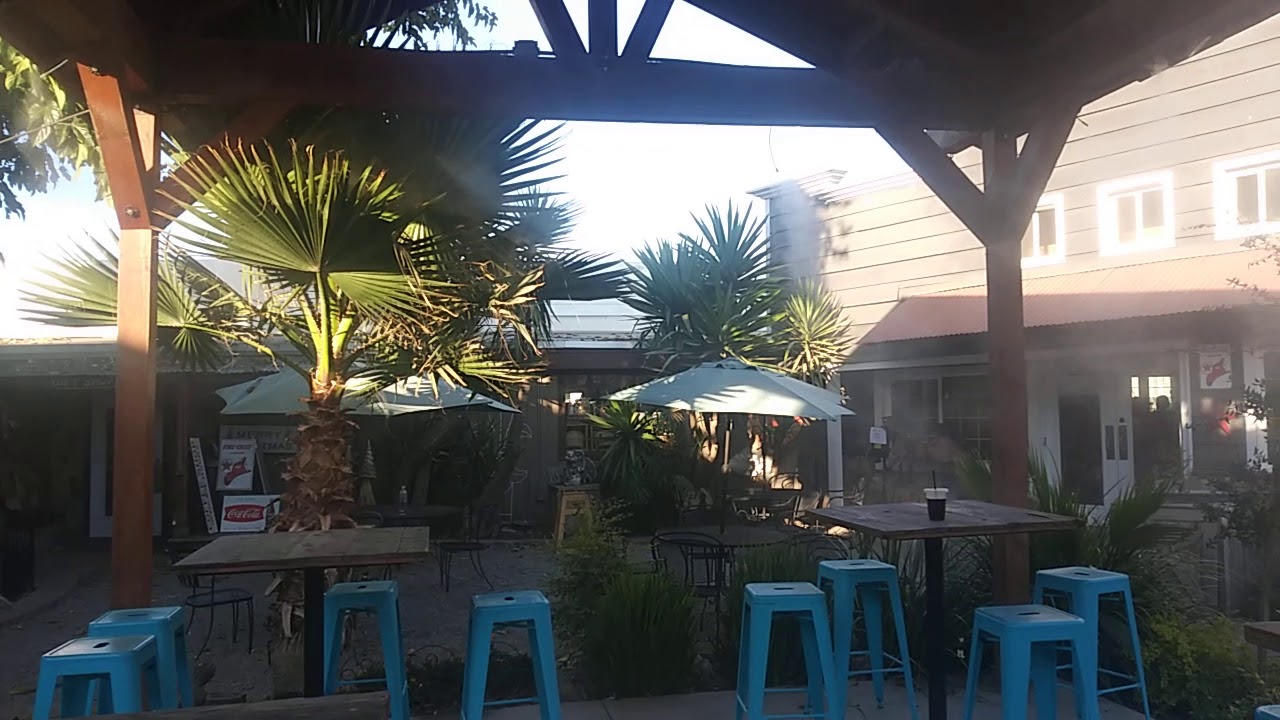 Wild Animal Confrontation