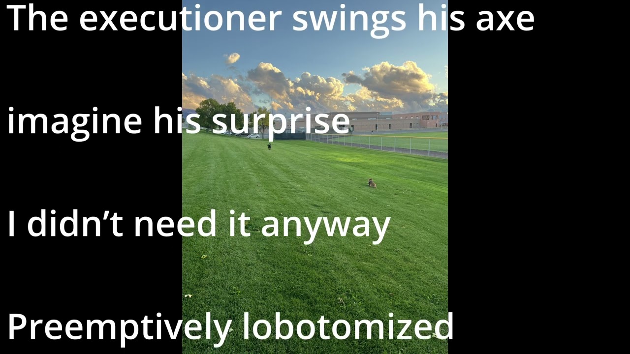 FAWM 9 Preemptively Lobotomized