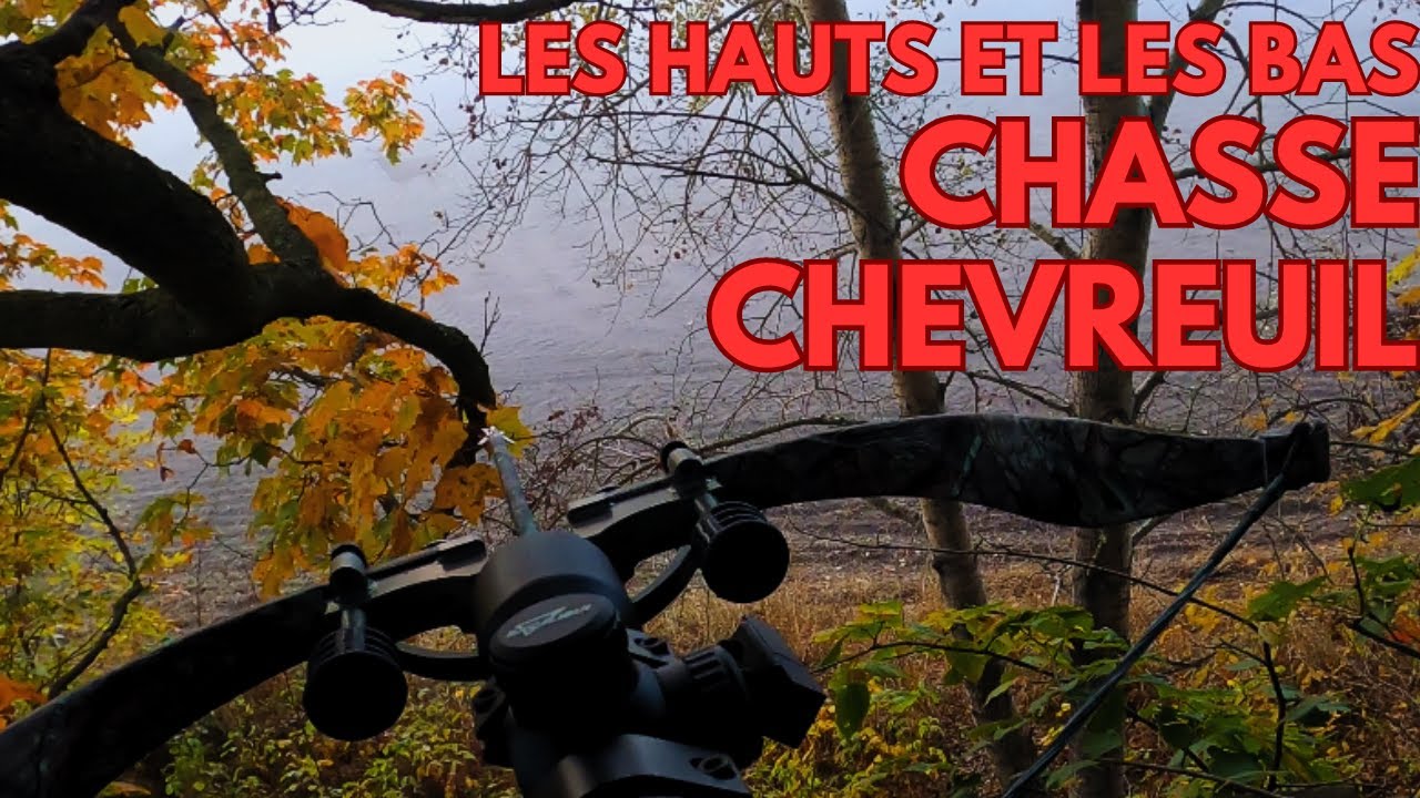 Chasse au chevreuil à l'arbalète 2023, Québec - Chasser, Cuisiner, Manger