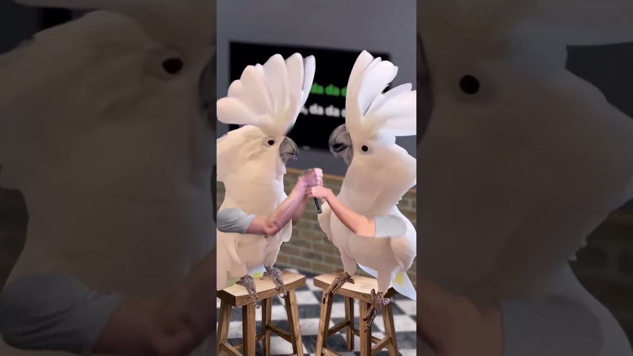 What if birds had arms?