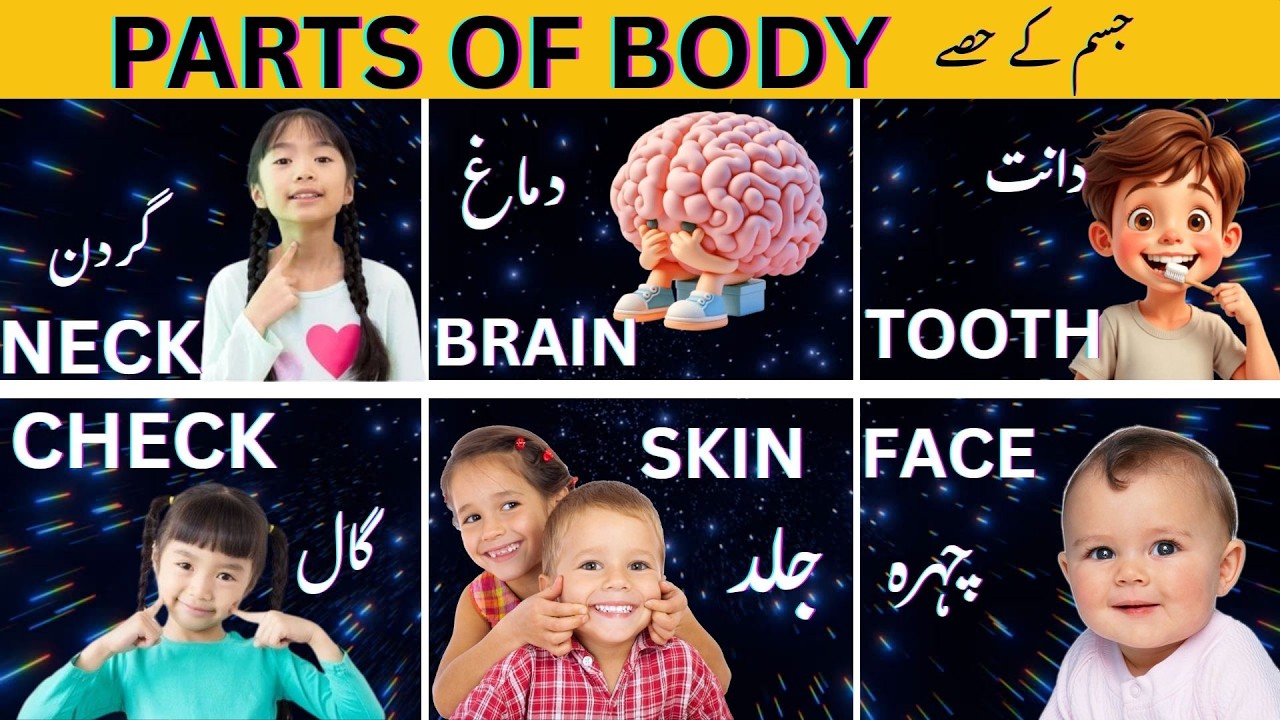 Parts of Body #learning #hhkidsportal #partsofbody