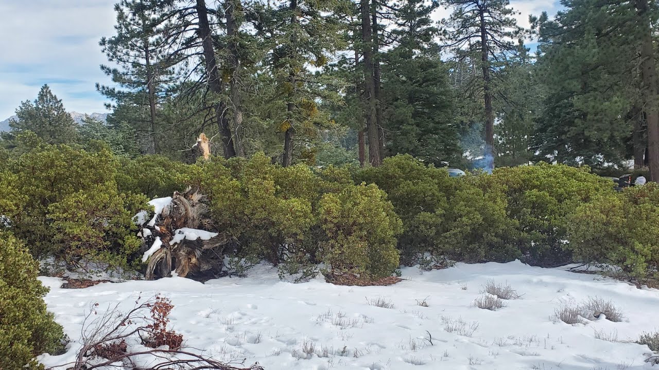 Parque Nacional, Sierra San Pedro Martir ENSENADA BC