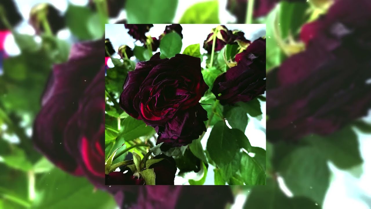 razziebal - кошмары (prod. afterlife x 2001)