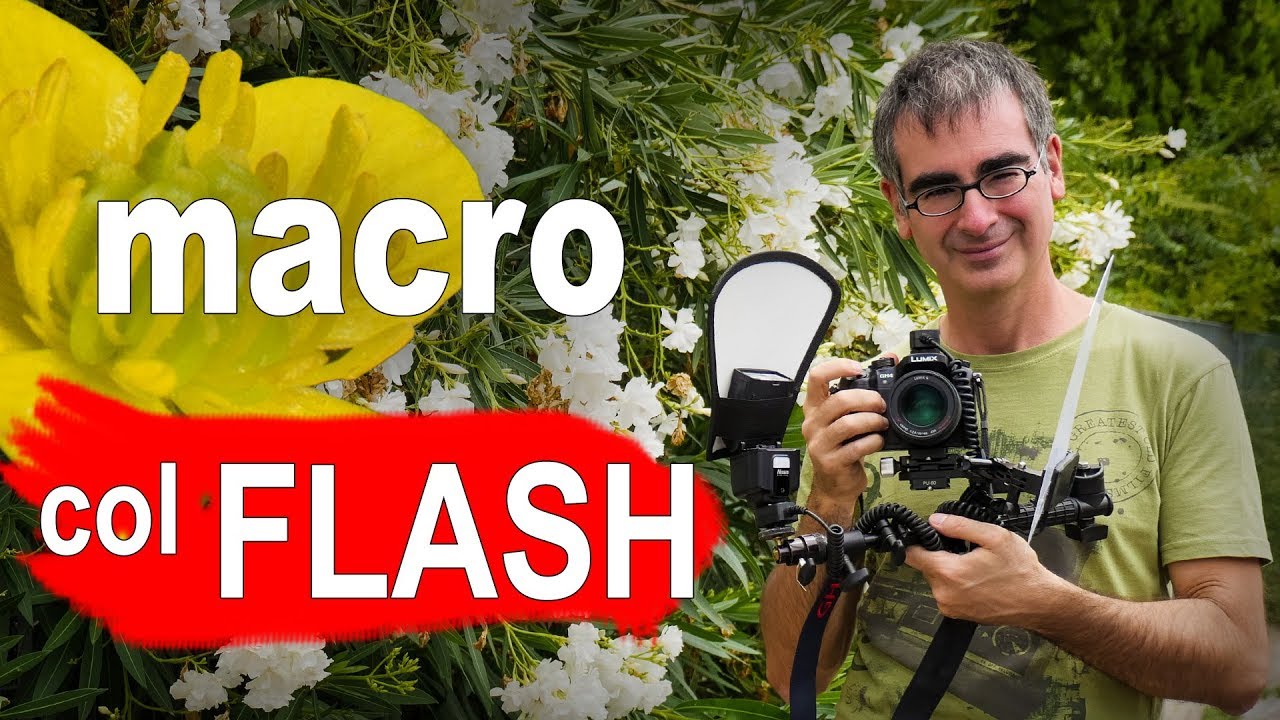 Macrofotografia con Flash: Tutorial per Foto Macro di Insetti, Fiori…