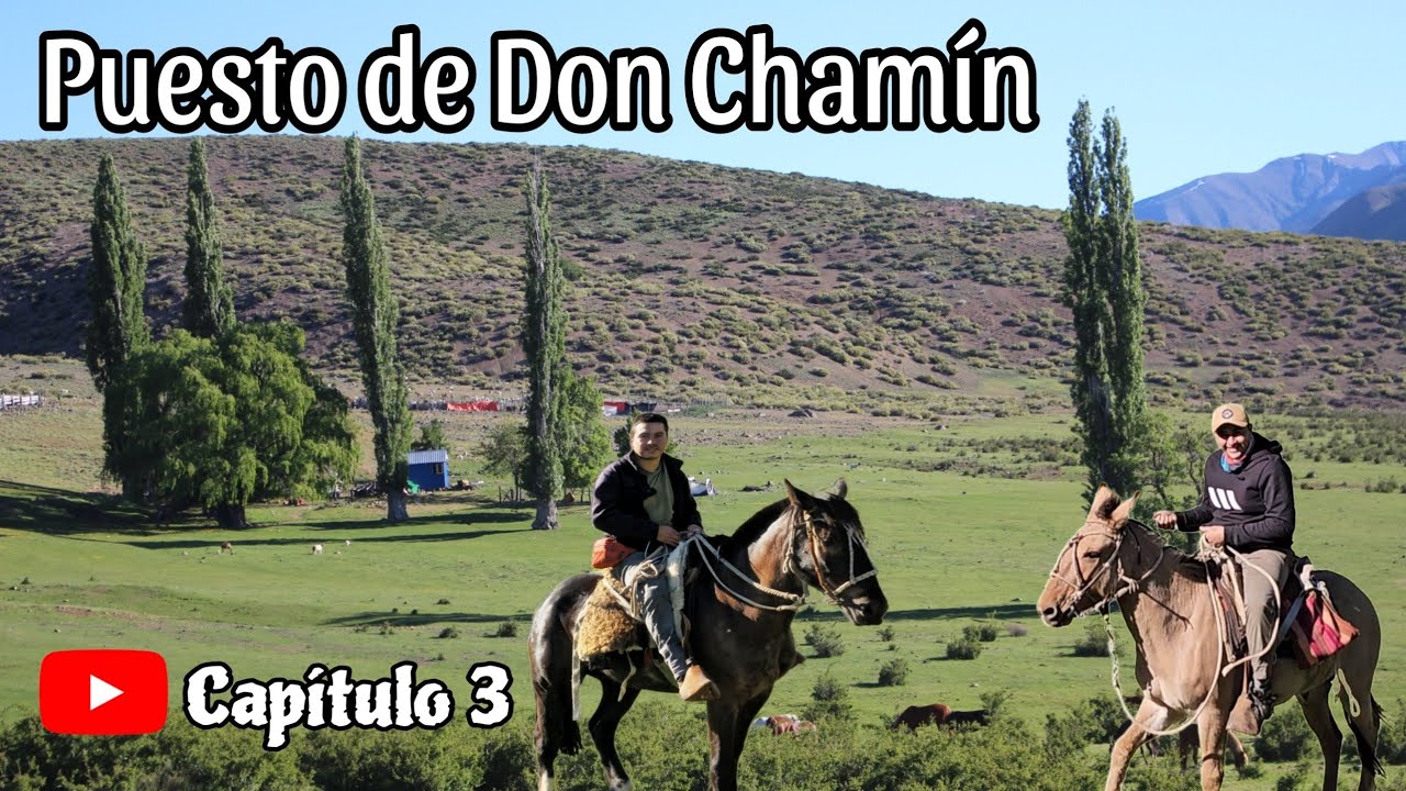Arrieros del Melado Puesto de Don Chamin Veranada de la Cordillera de la Region del Maule Crianceros
