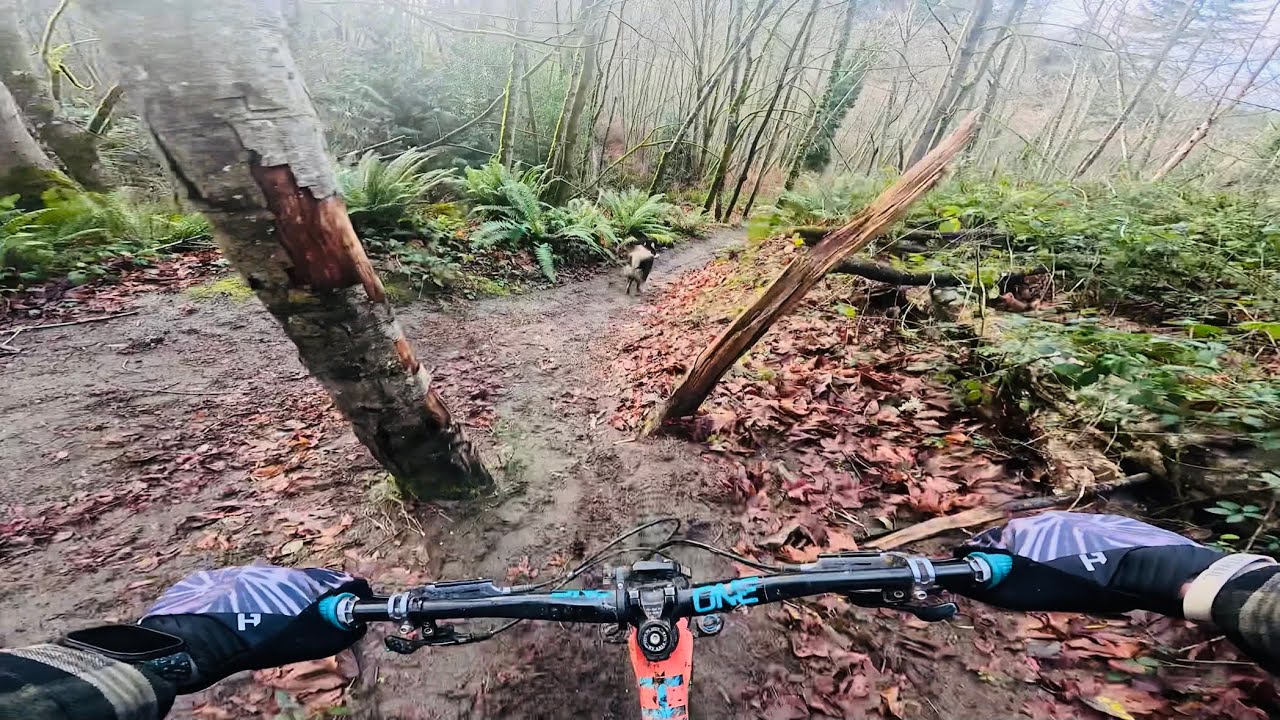 Riding with my Best Friend! #traildog 