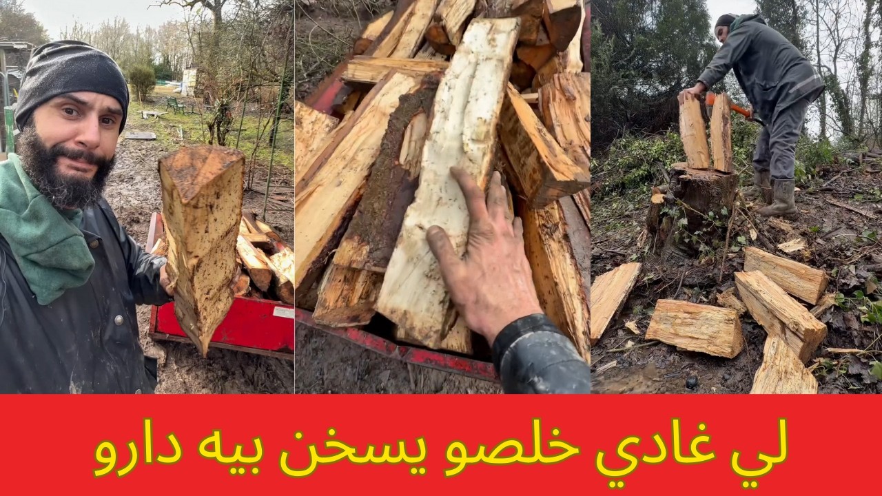 يخلصوه ليا بالثمن الخشب لنقطع من الغابة ديالي