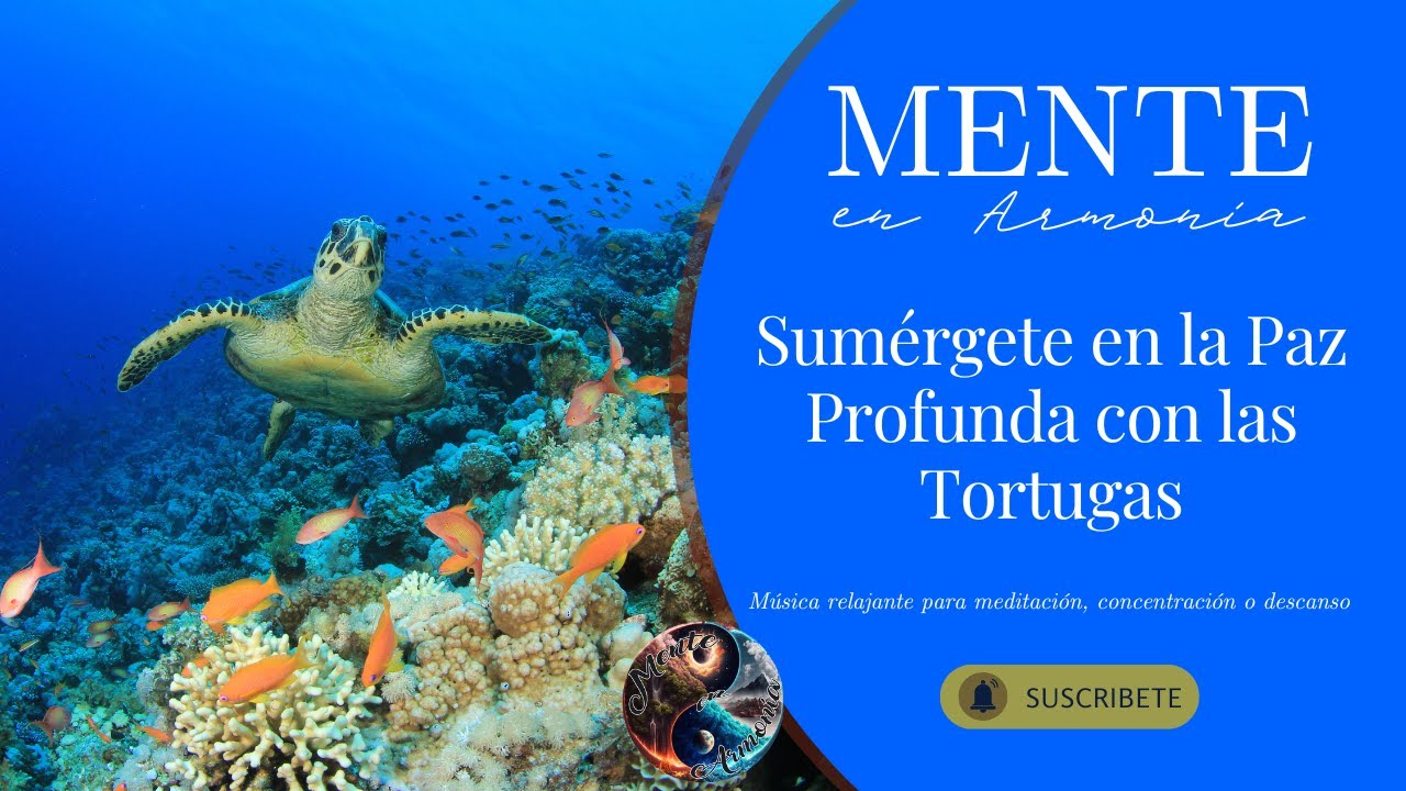 Viaje Submarino con Tortugas Marinas 🐢 Música Suave para Meditar y Sanar