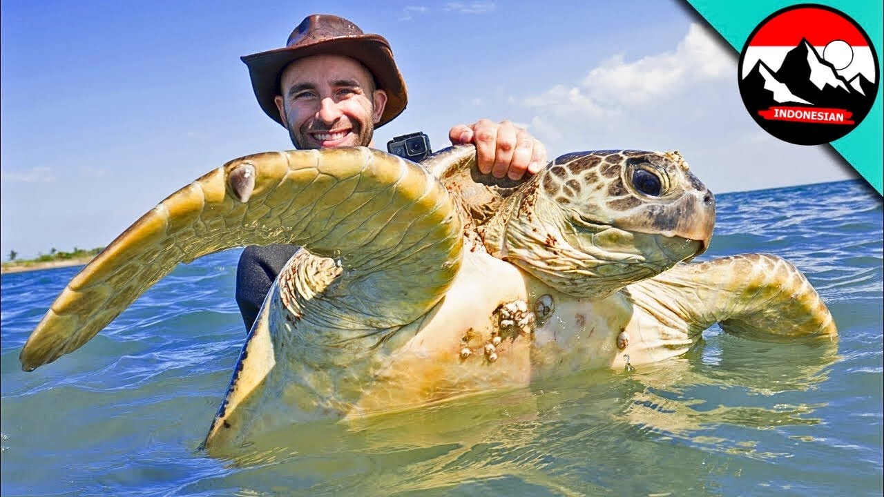 Memancing Penyu Laut di Australia 🐢 Mimpi Coyote Peterson Menjadi Kenyataan