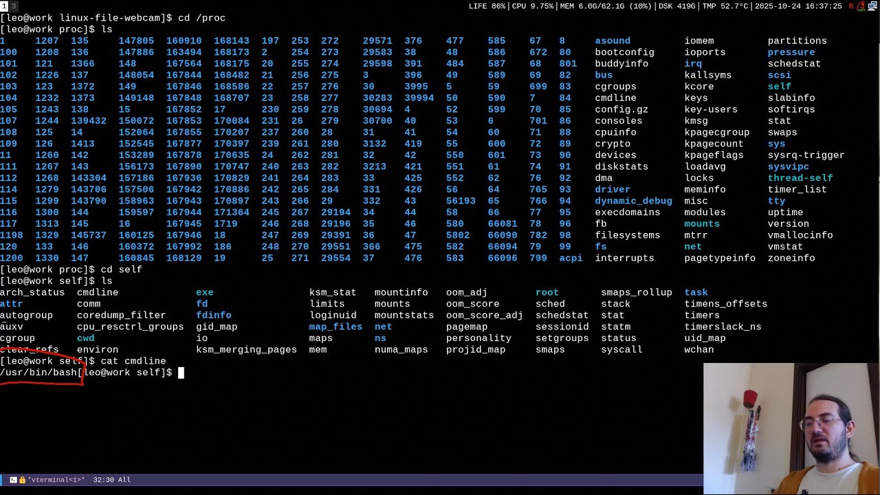In Linux Almost Everything is a File. So what?