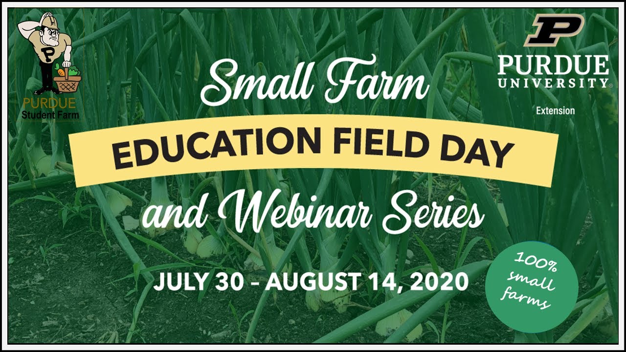 Small Farms - High Tunnel CBD Hemp Production Experiences