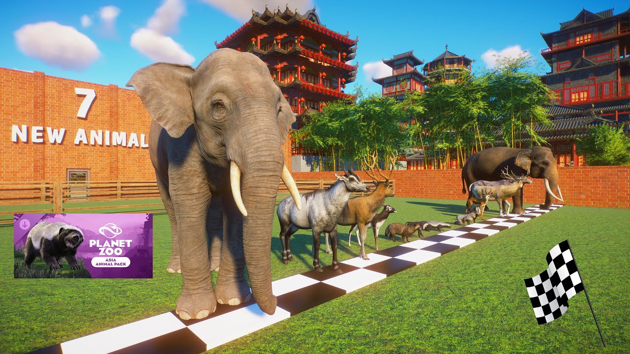 7 New VS 7 Old Animals Race in Chinese Castle Planet Zoo Asia Animal Pack included Bornean Elephant