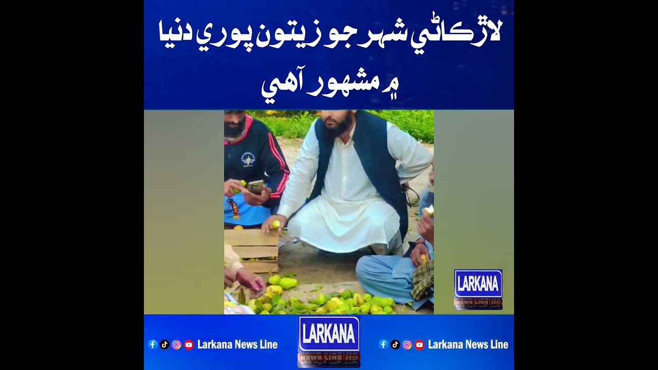 لاڙڪاڻو شهر جو زيتون پوري دنيا ۾ مشهور آهي