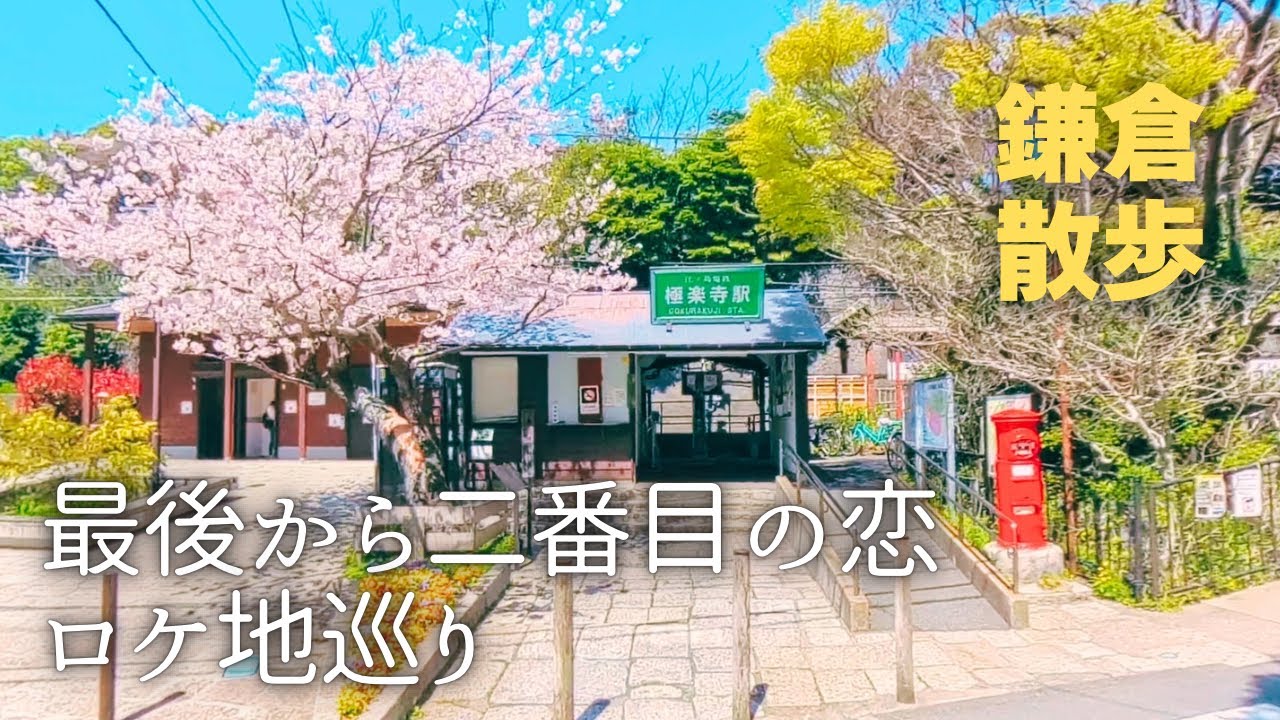 【最後から二番目の恋 ロケ地】桜咲く長谷極楽寺散歩 #最後から二番目の恋