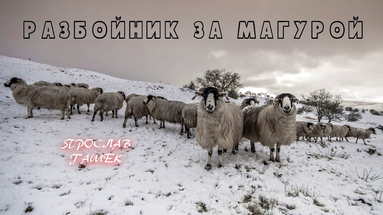РАЗБОЙНИК ЗА МАГУРОЙ - Ярослав Гашек | АУДИОКНИГА