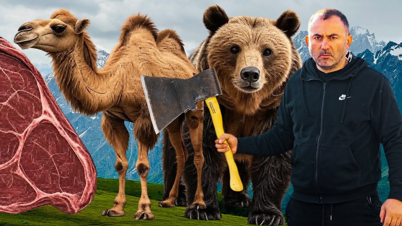 WILD ANIMALS! 🐫🐻 The Best Dishes from Huge Animals | Camel and Bear by GEORGY KAVKAZ