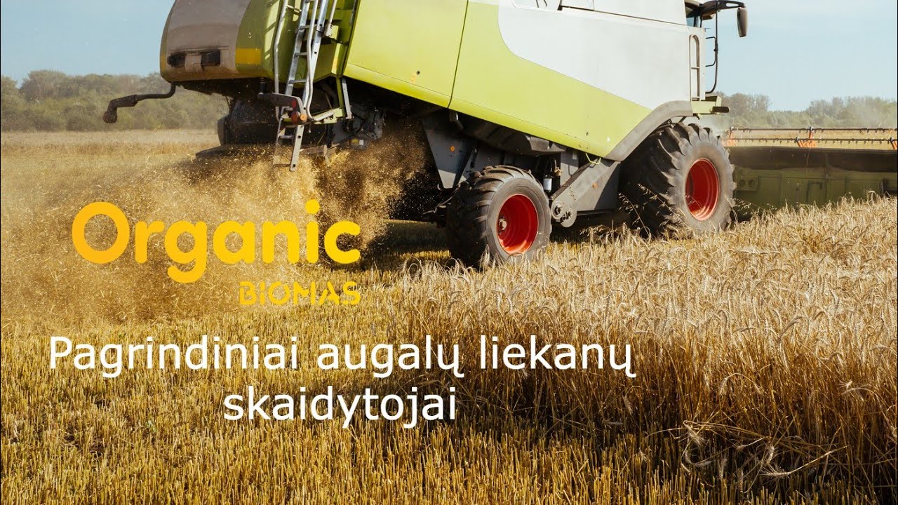 Pagrindiniai augalų liekanų skaidytojai // Biomas ORGANIC // Bioversio