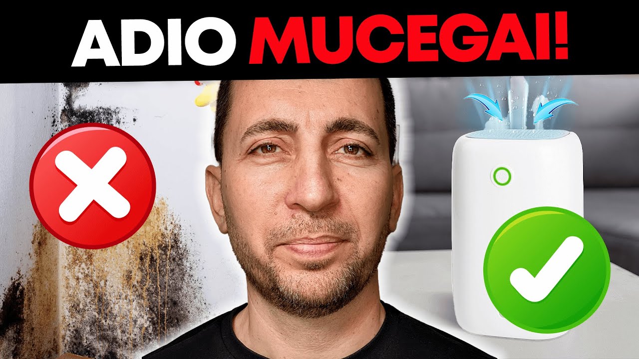 Cum Aleg Un Dezumidificator Pentru Camera? [Scapa de Mucegai si Umiditate]