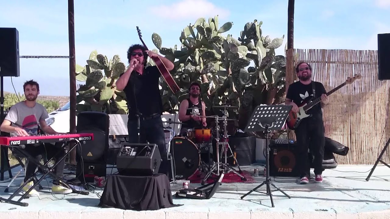 Los Catopuma - El Konejo