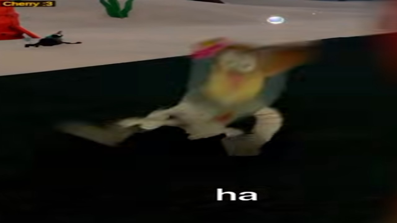 Sandy can't stop laughing at mildly funny jokes