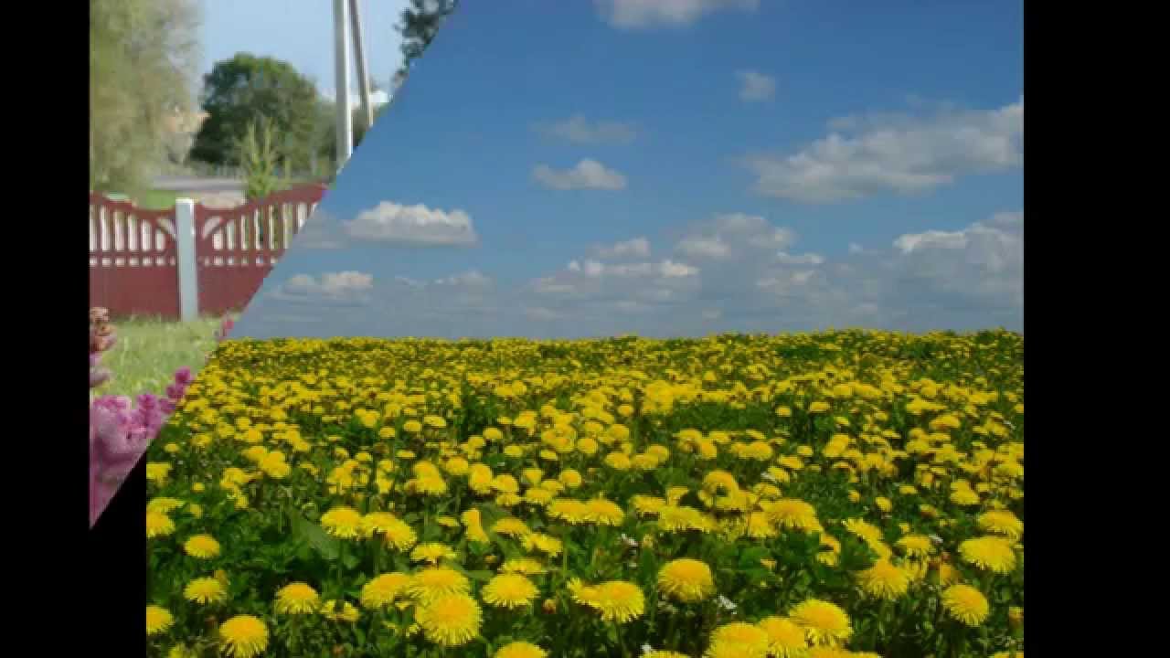 Гэта Беларусь мая