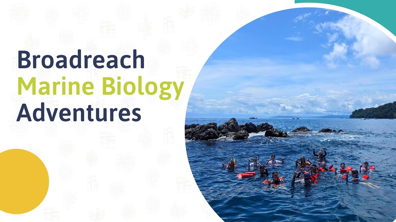 Broadreach 2024 Marine Biology Adventures Webinar