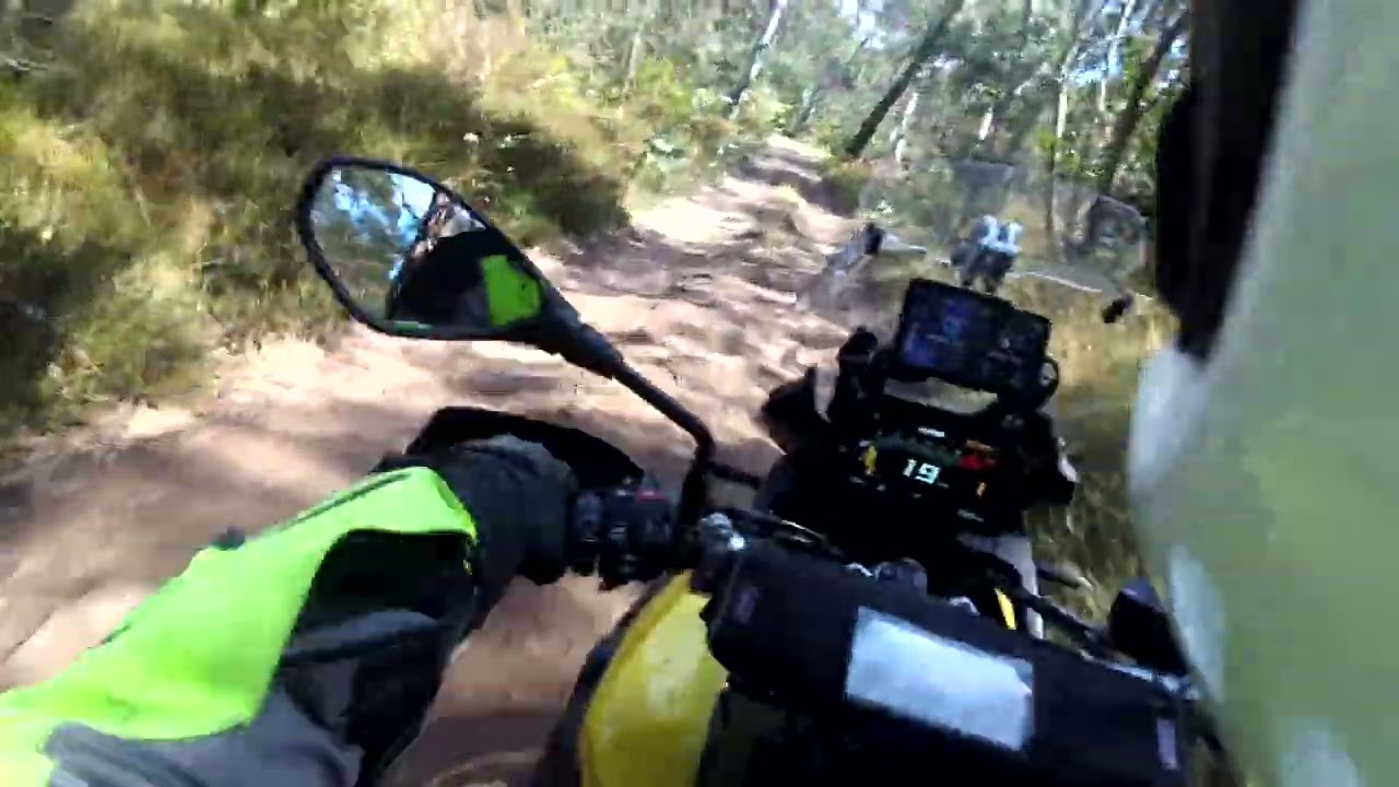 Kelly Hut Track, northern access