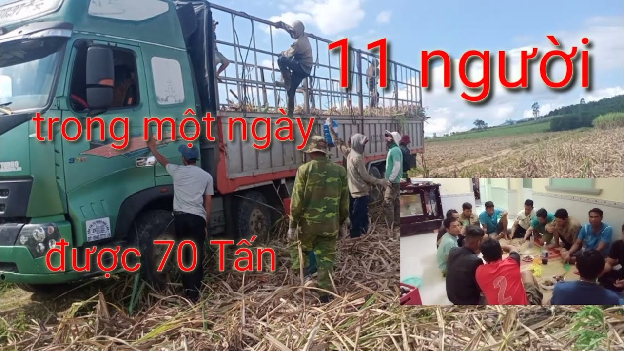 Bốc mía chiều về chủ nhà đã đãi món cầy tơ