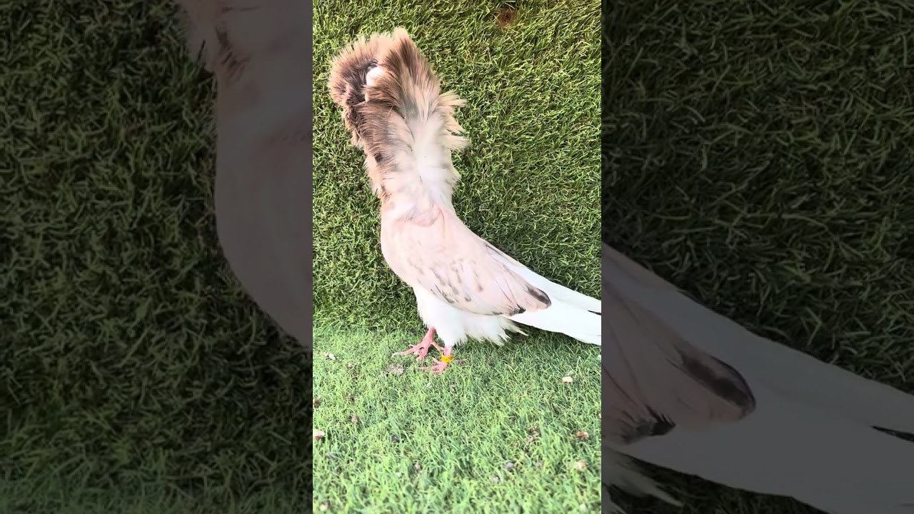 ٩ يوليو، ٢٠٢٣