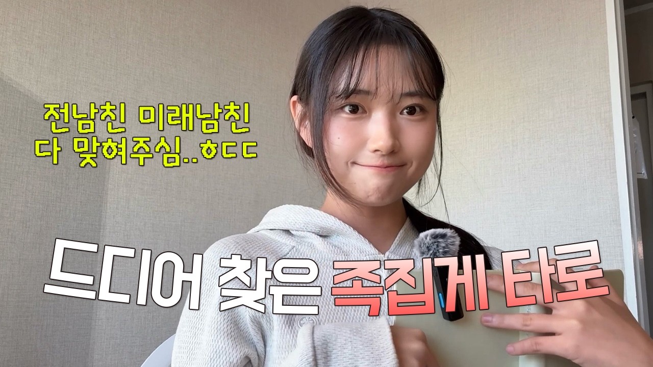 신점만큼 정확한 소름돋는 타로 후기 +대면타로, 전화타로 비교/2026년 운세까지~!