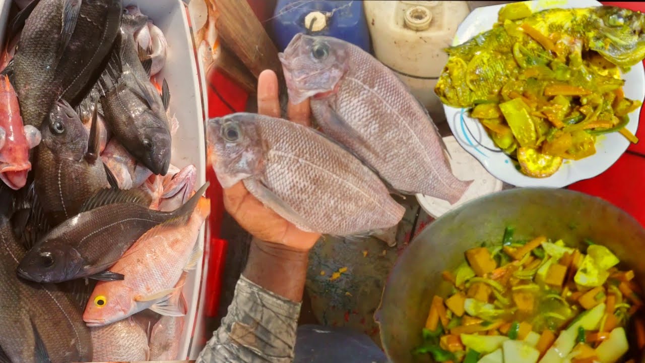 MOST EXPENSIVE SNAPPER IN JAMAICA 🇯🇲 CATCH CLEAN COOK