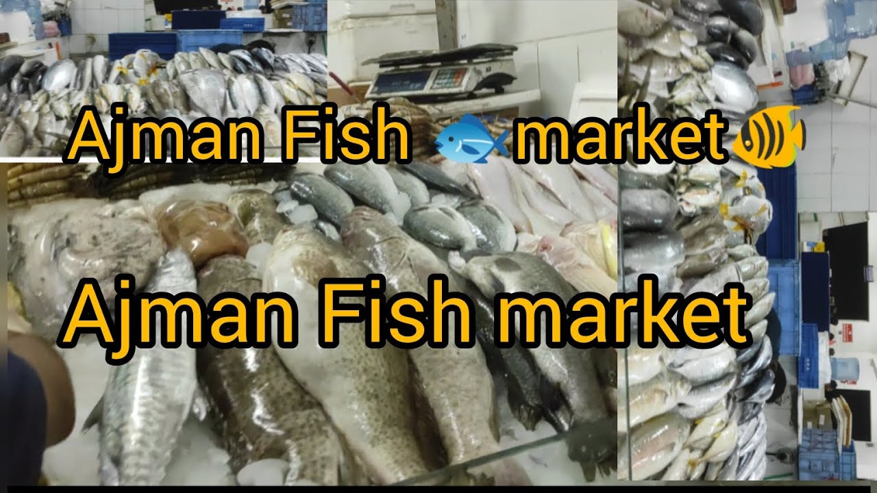 Ajman Fish Market 🐟 | Cheapest Fish Market | UAE 🇦🇪 Fish Market robal khan dubai
