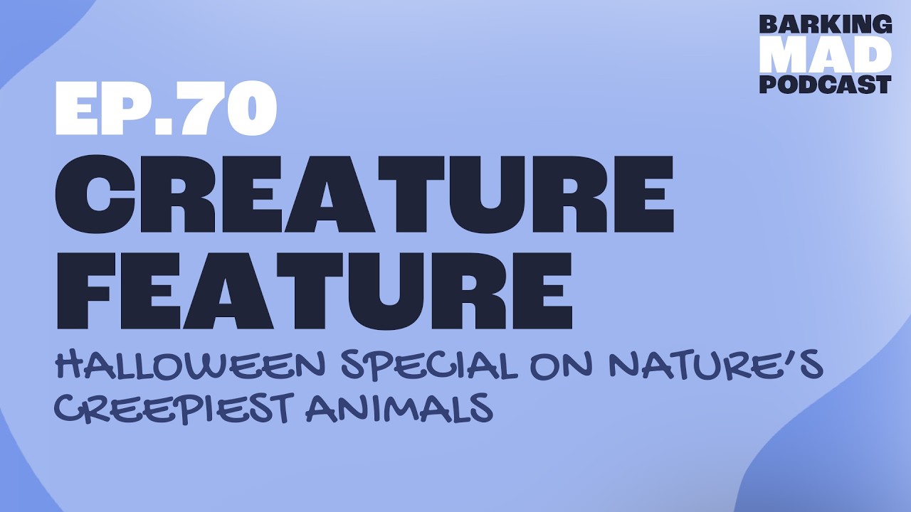 Creature Feature: A Halloween Special on Nature’s Creepiest (and Coolest) Animals
