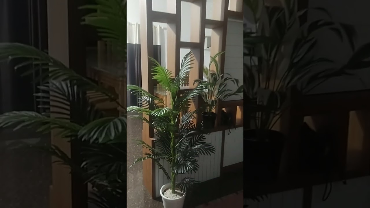 Meesho artificial plants/home decor/home tour