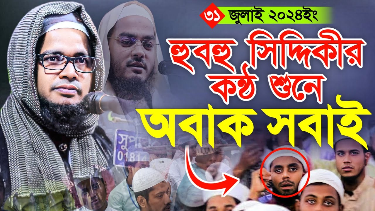 সিদ্দিকীর কন্ঠ শুনে চমকে গেল এলাকাবাসী | মুফতি আব্দুল বাছির সিদ্দিকী কুমিল্লা | basir siddiki waz