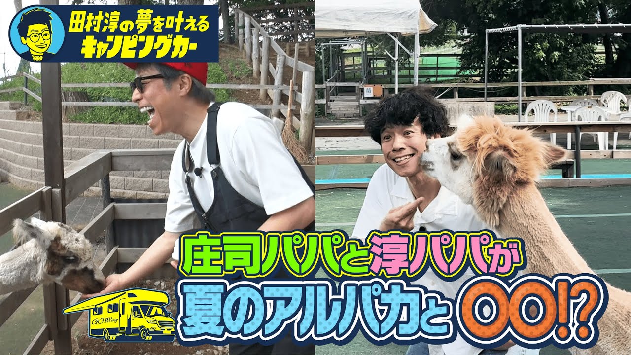 【仲良しパパの平和ロケ】田村淳の夢を叶えるキャンピングカー【アルパカダービー】#庄司智春   #田村淳 #キャンピングカー