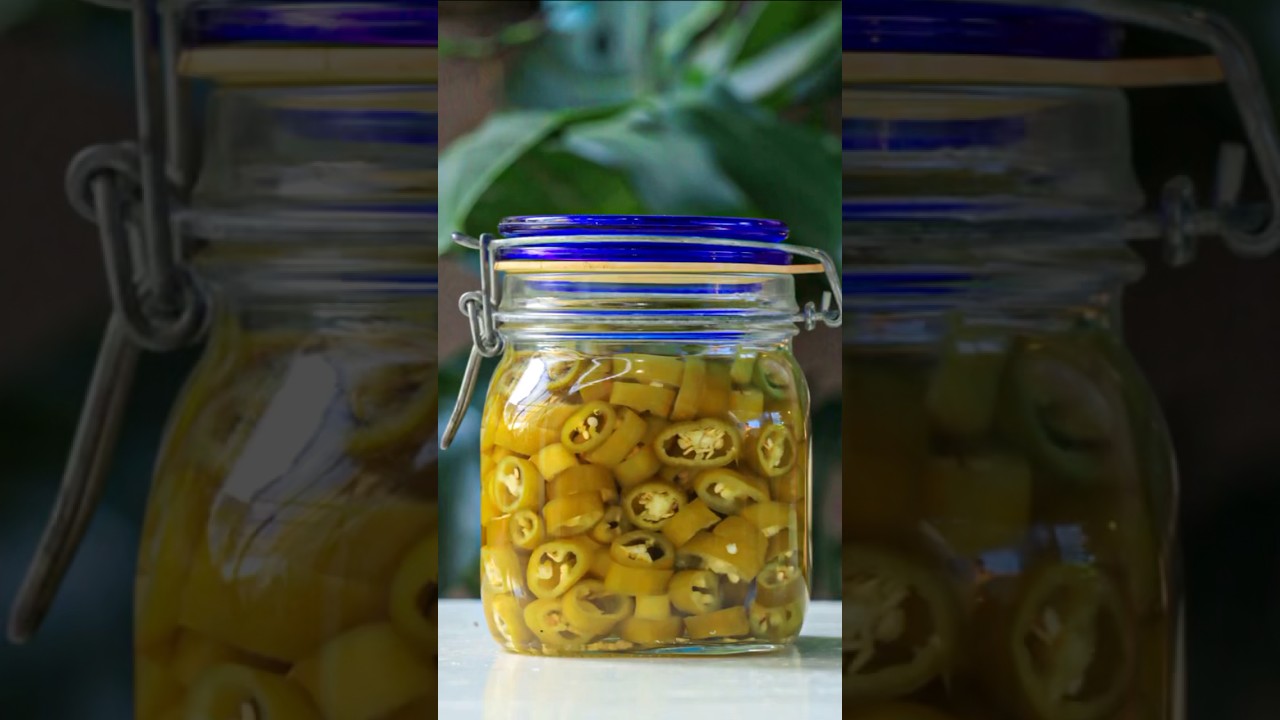 How to Make Pickled Chili | Easy and Quick Pickled Chili Recipe #cooking #food #shorts